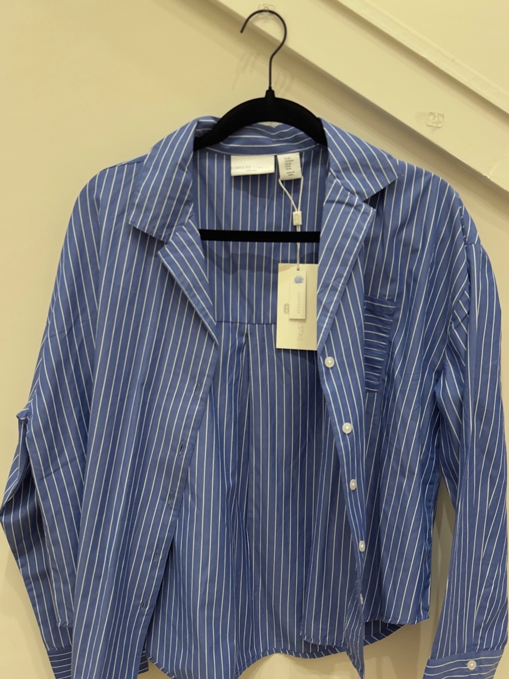 Caroline Constas Blue and White Striped Men's Button-Down Shirt